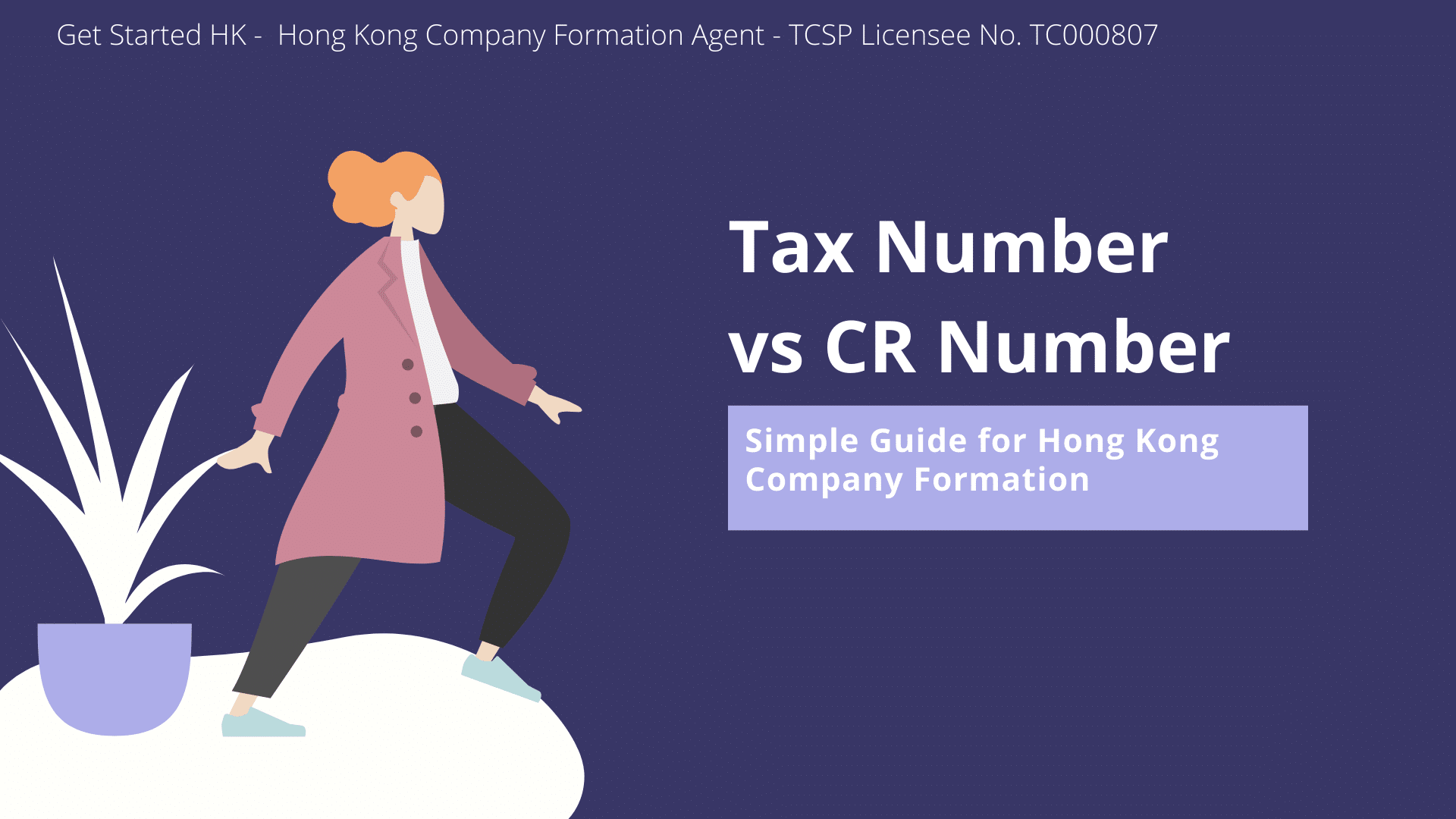 Business Registration (BR) Number VS Company Registration (CR) Number